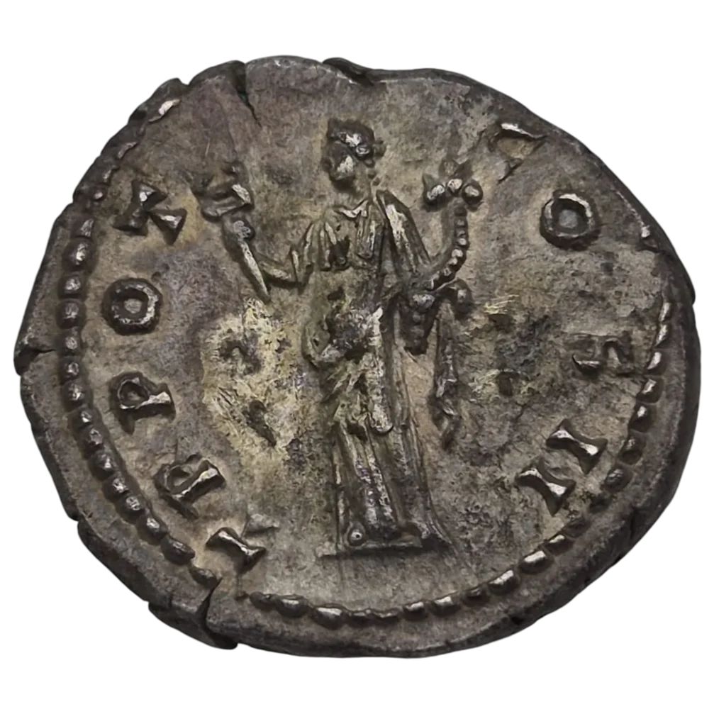 Aelius Caesar