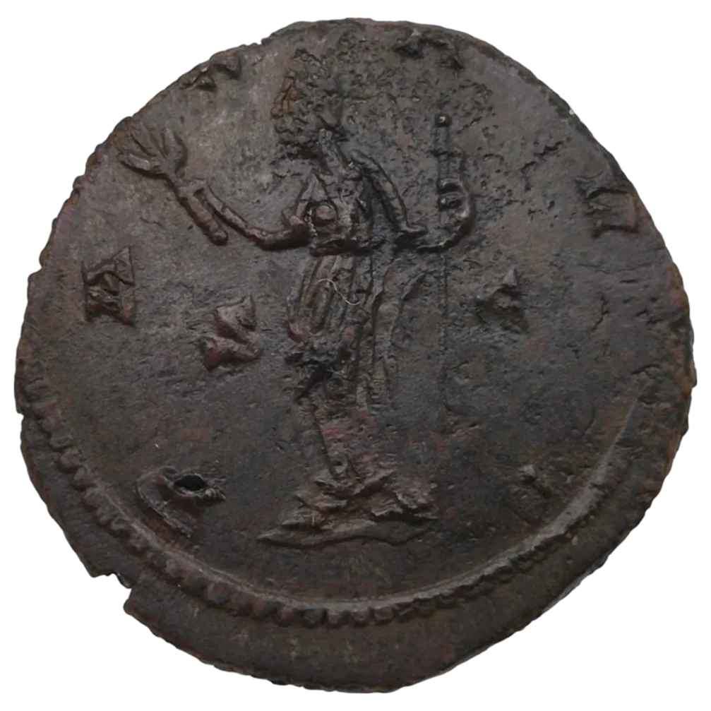Carausius