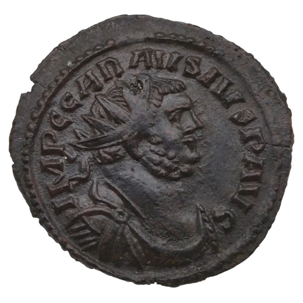 Carausius