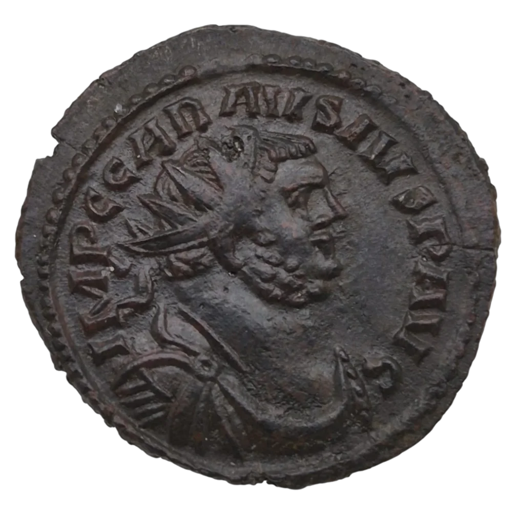 Carausius