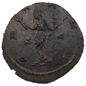 Carausius