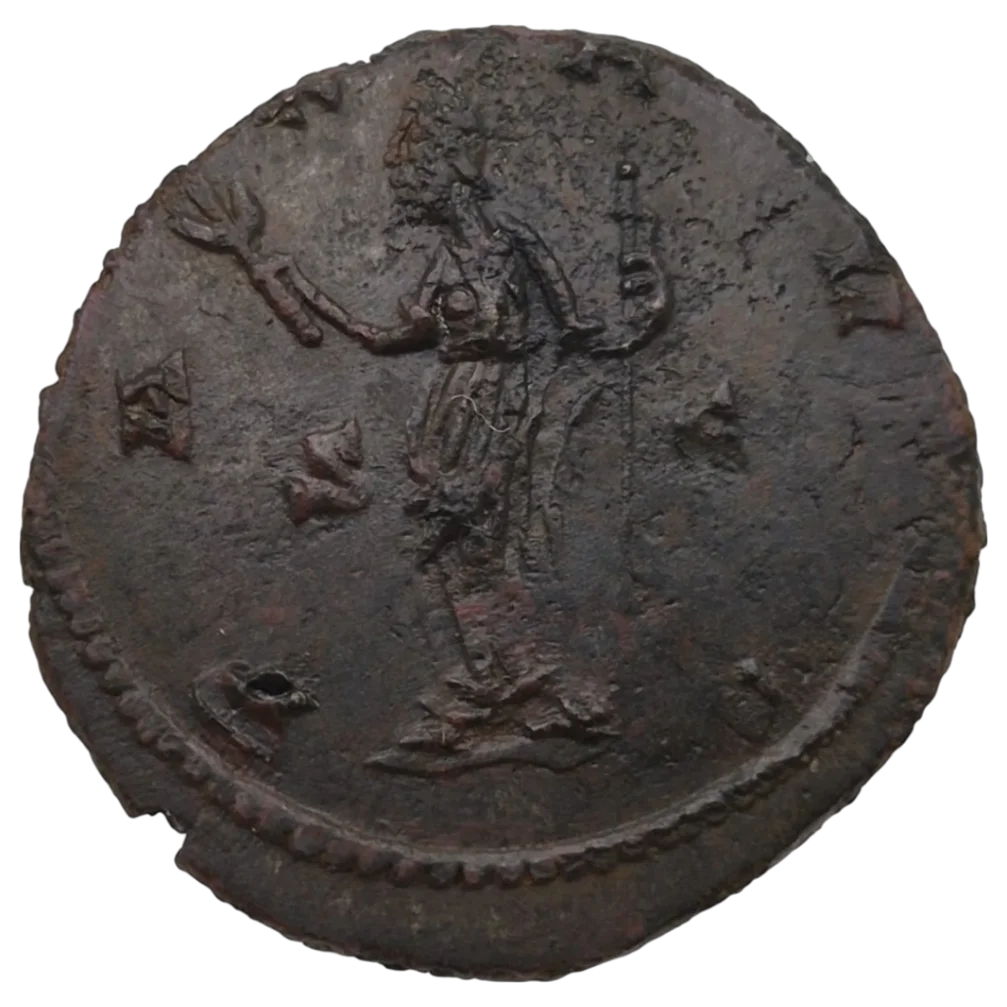 Carausius
