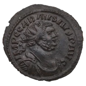 Carausius