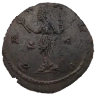 Carausius