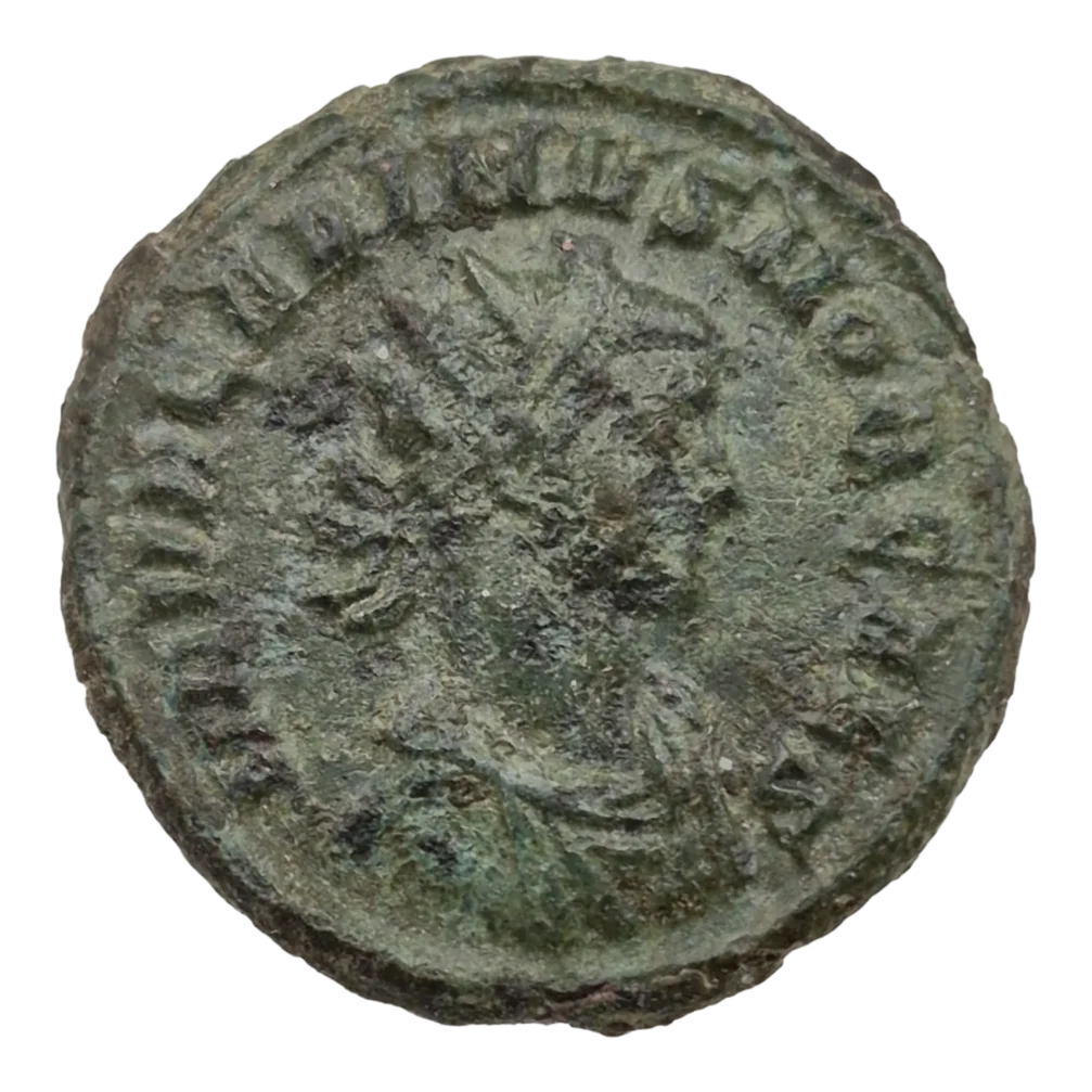 Carinus