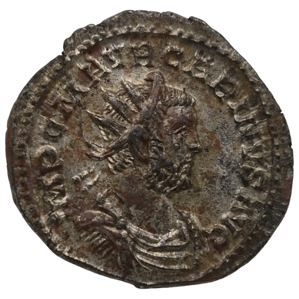 Carinus