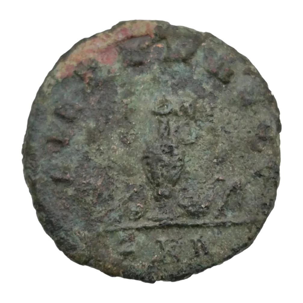 Carinus
