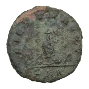 Carinus