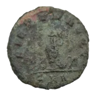 Carinus