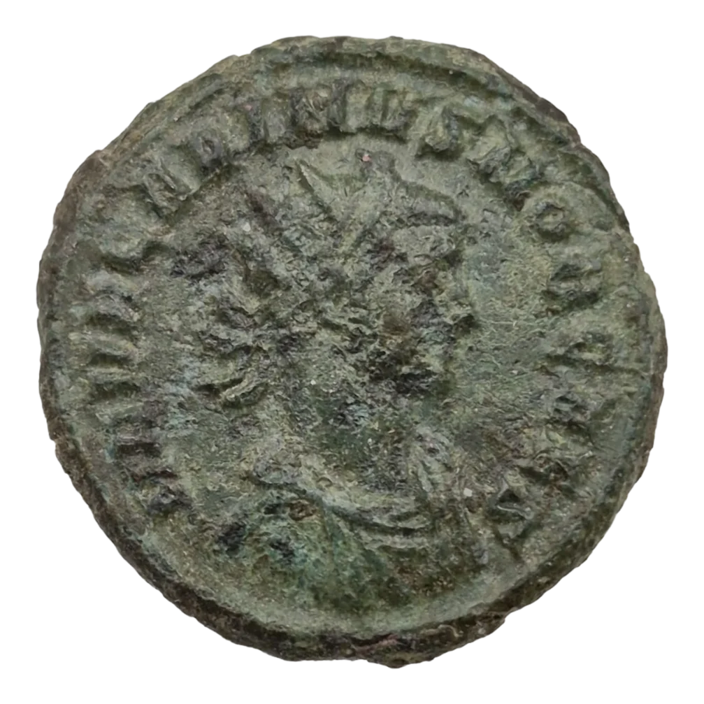 Carinus