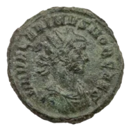 Carinus