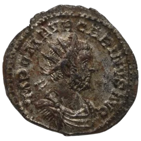 Carinus