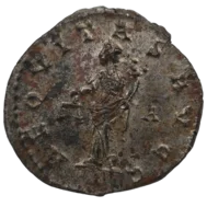 Carinus
