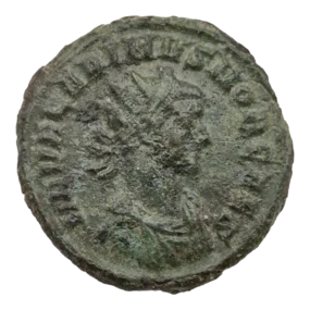 Carinus