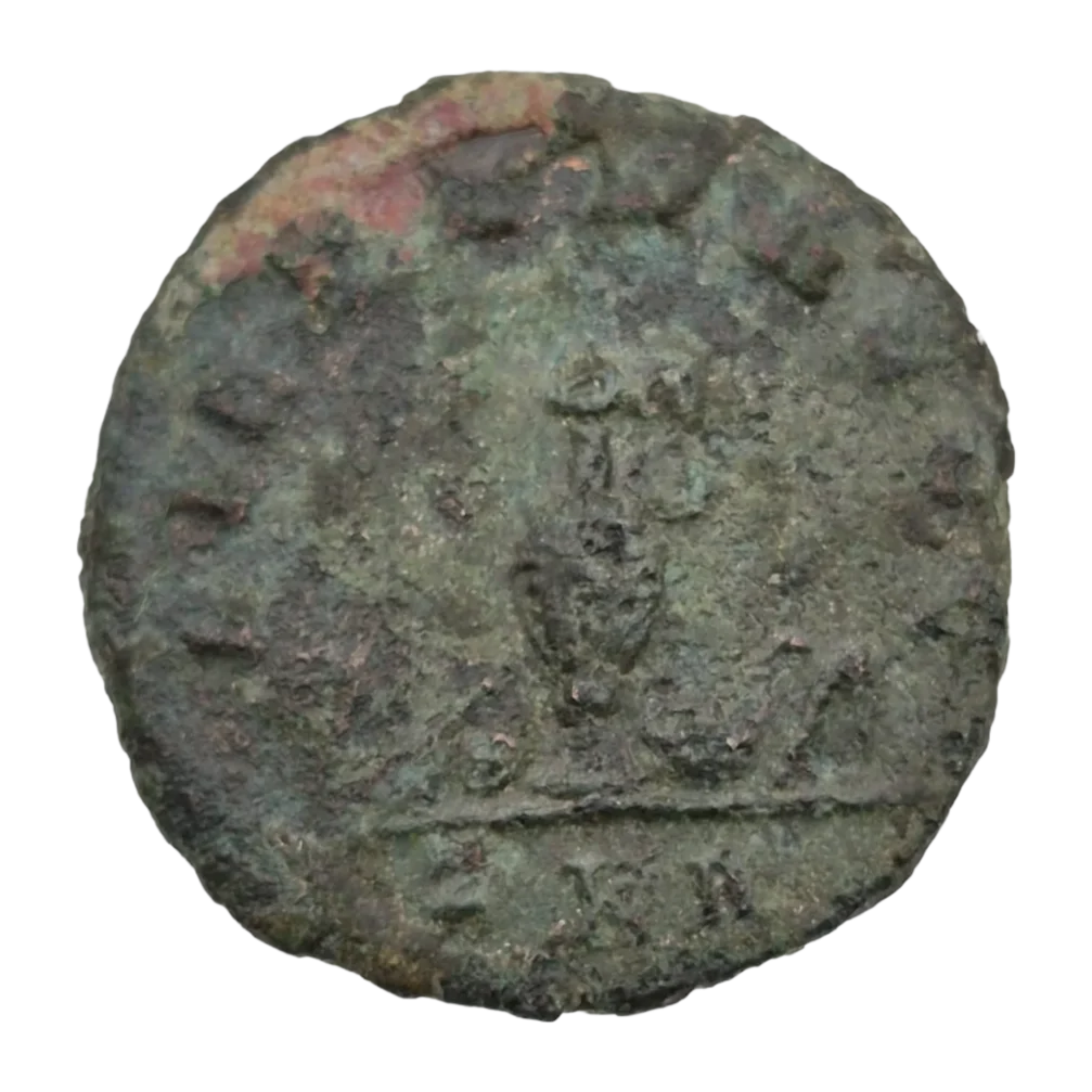 Carinus