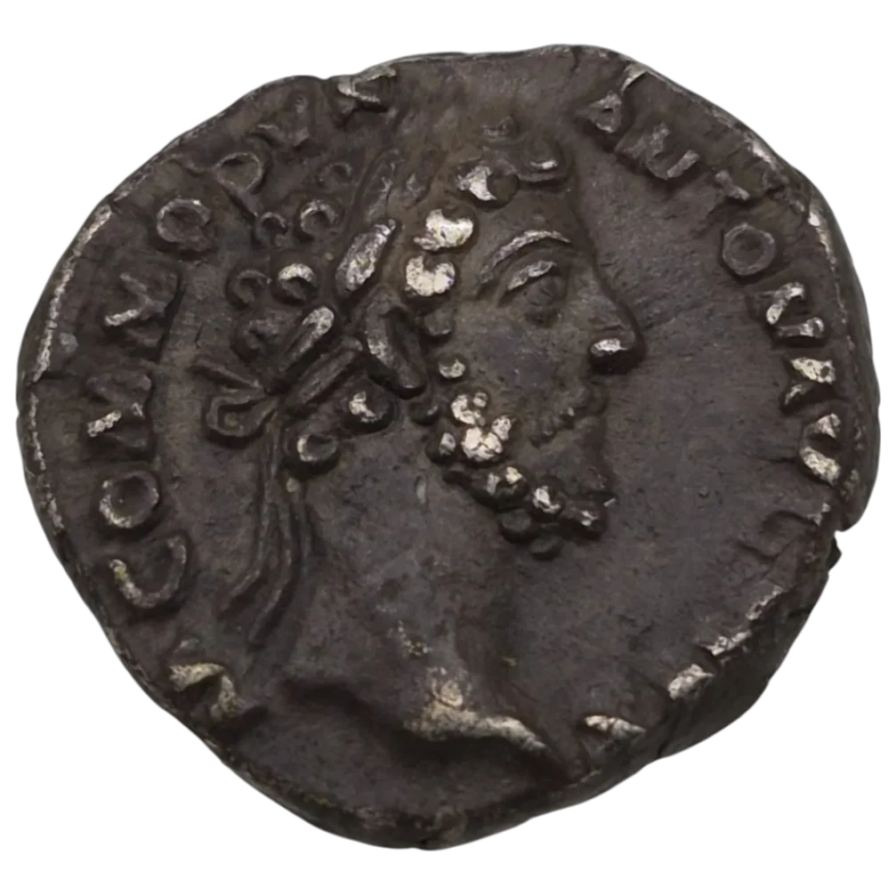 Commodus