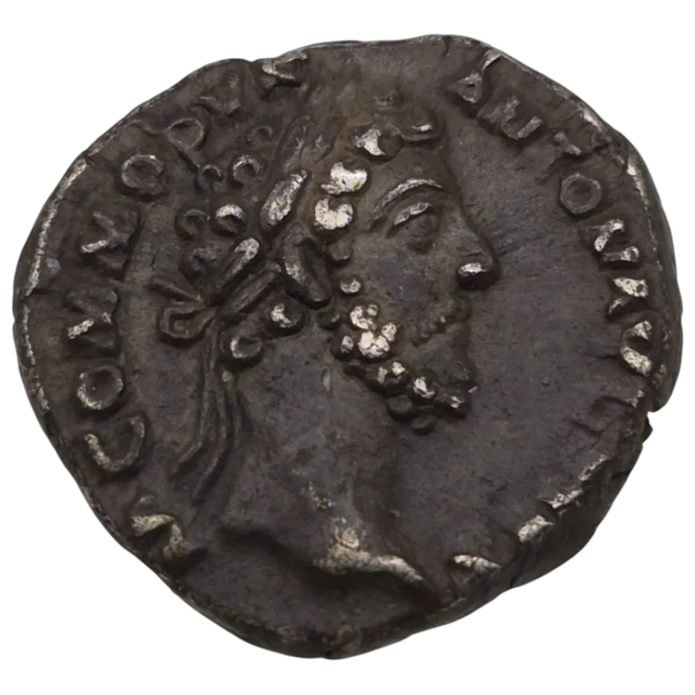 Commodus