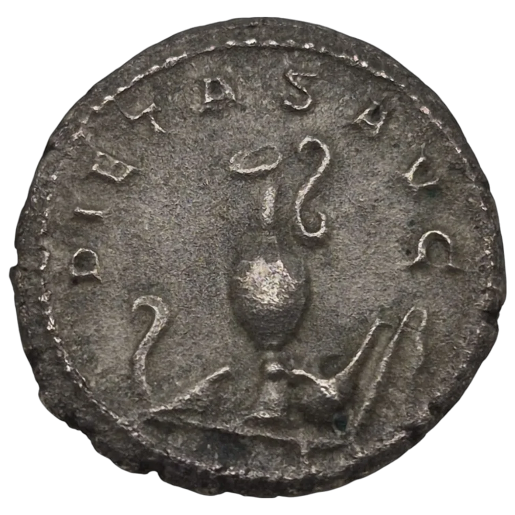 Maximus Caesar