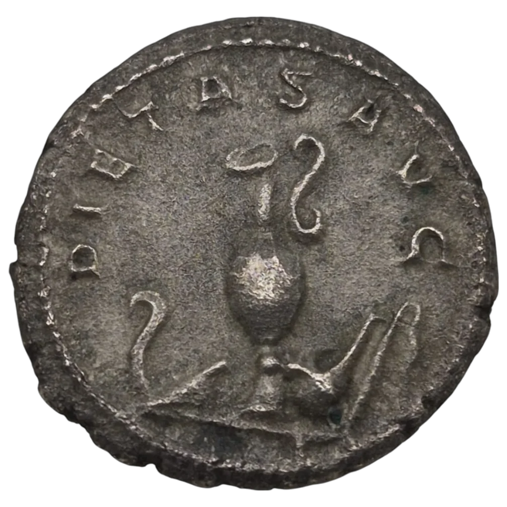 Maximus Caesar