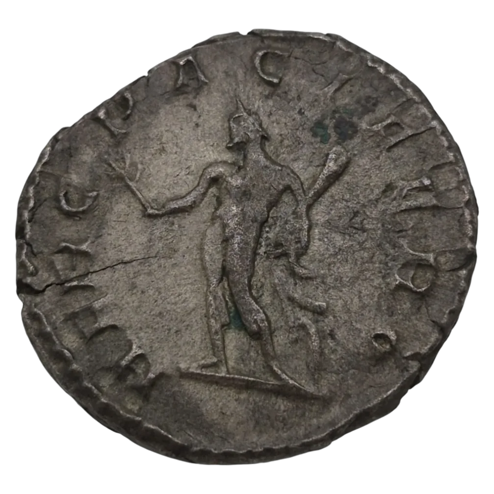 Postumus