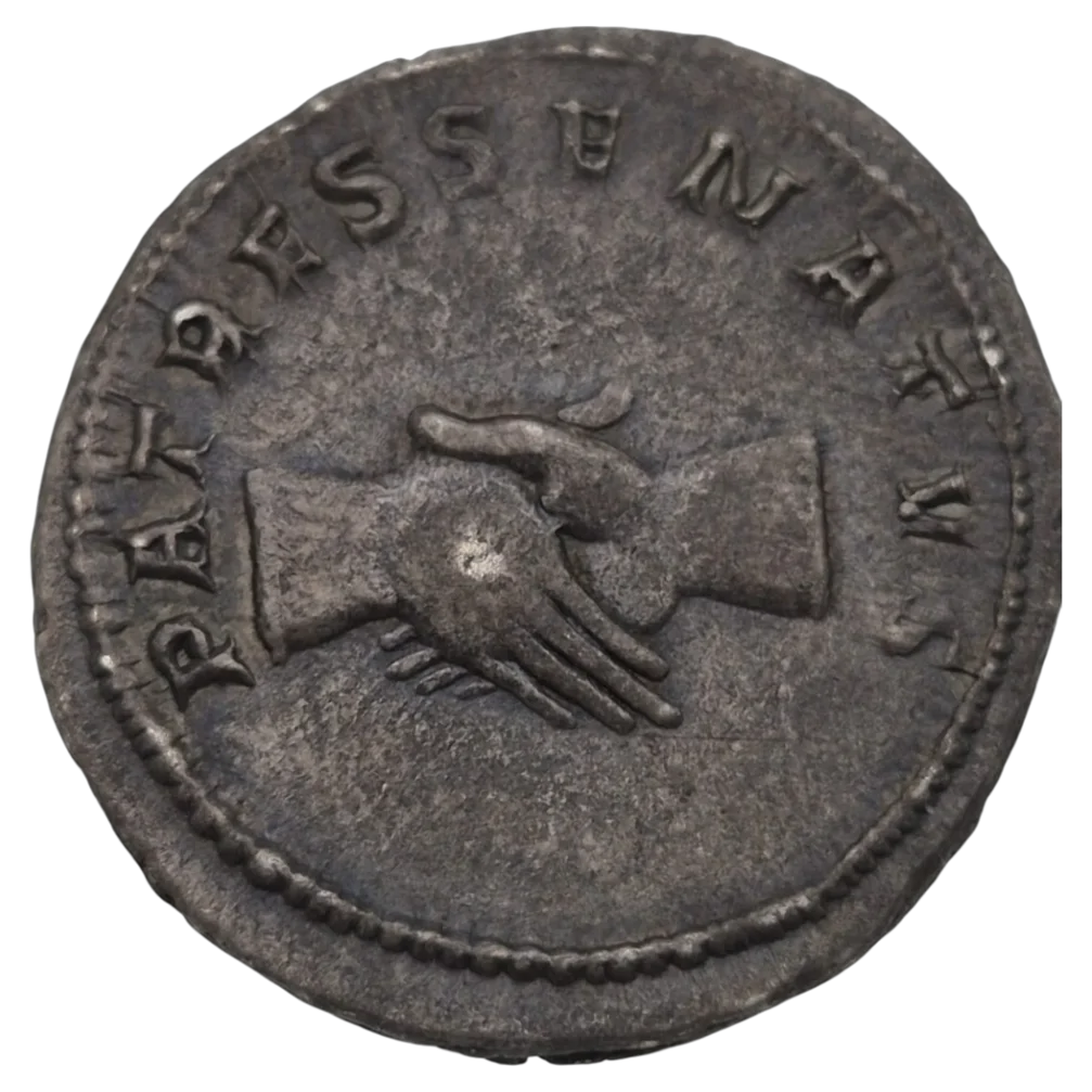 Pupienus