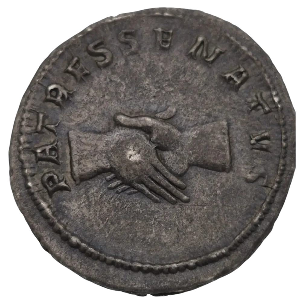 Pupienus