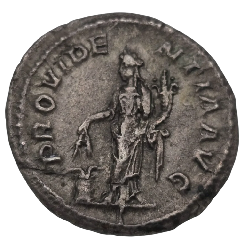 Severus Alexander